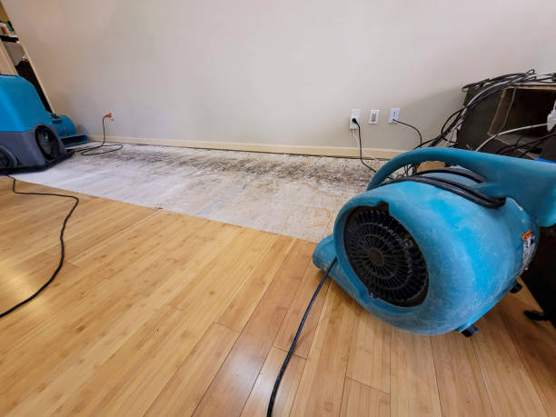 Professional Water Removal technician working in Mount Olive, IL